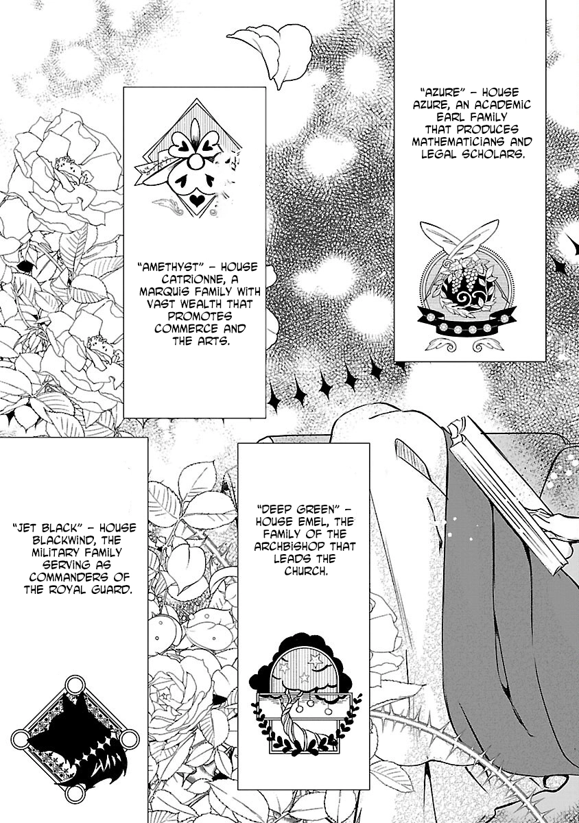 I Became My Idol’s Sister, So I’ll Be a Villainess to Keep My Brother. Chapter 4 - page 11