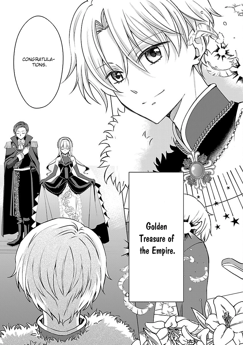 I Became My Idol’s Sister, So I’ll Be a Villainess to Keep My Brother. Chapter 5 - page 27