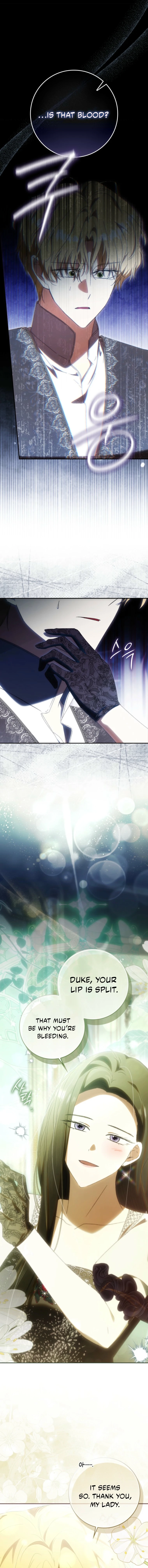 My Husband Is My Ultimate Bias, but I Think He Wants a Divorce Chapter 27 - page 8
