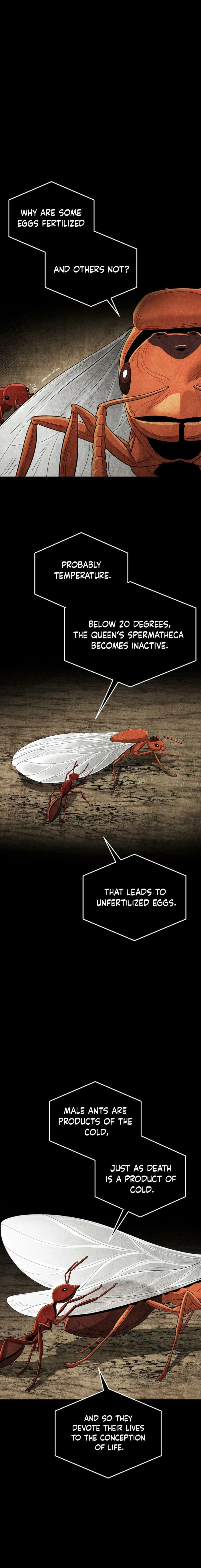 Empire of the Ants Chapter 15 - page 15