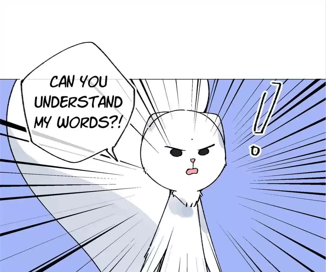 Suspected Confession Chapter 55 - page 15