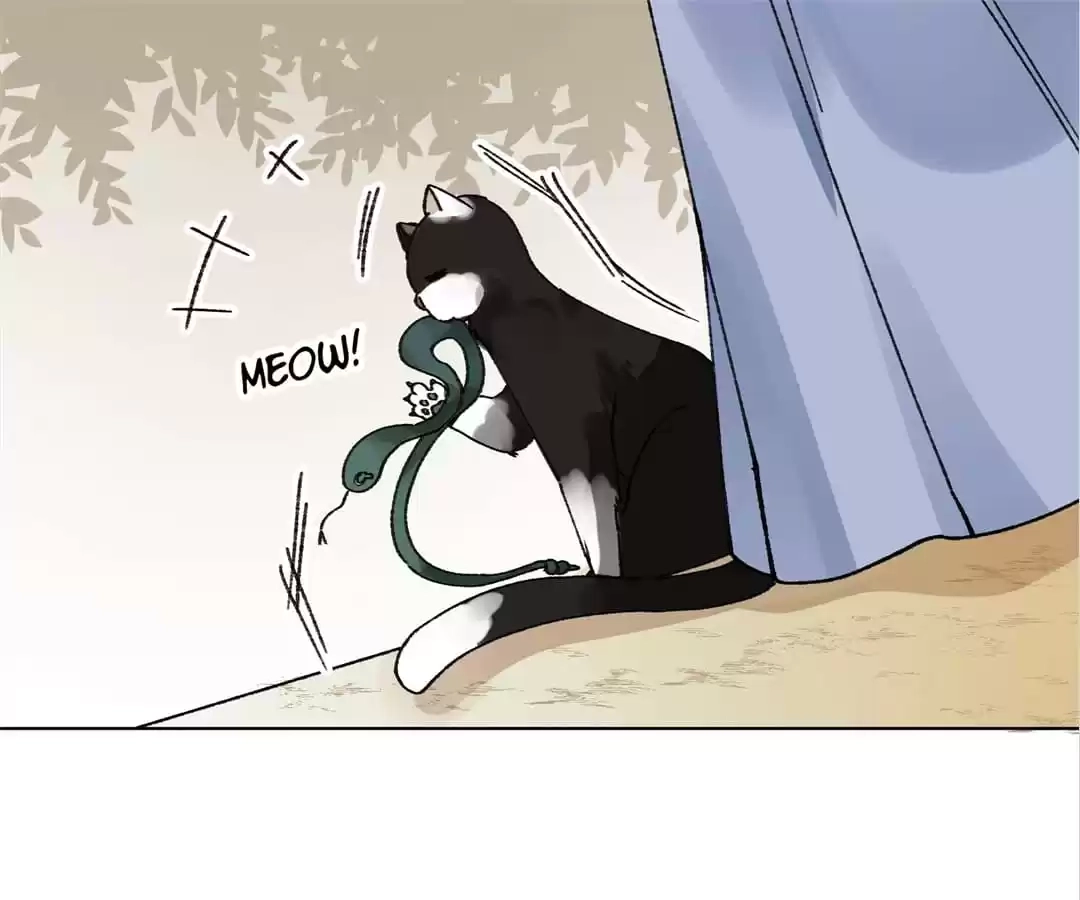 Suspected Confession Chapter 23 - page 81