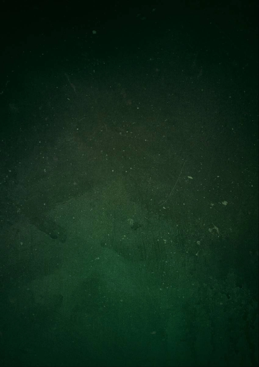 The Book of Chaos Chapter 0.3 - page 5