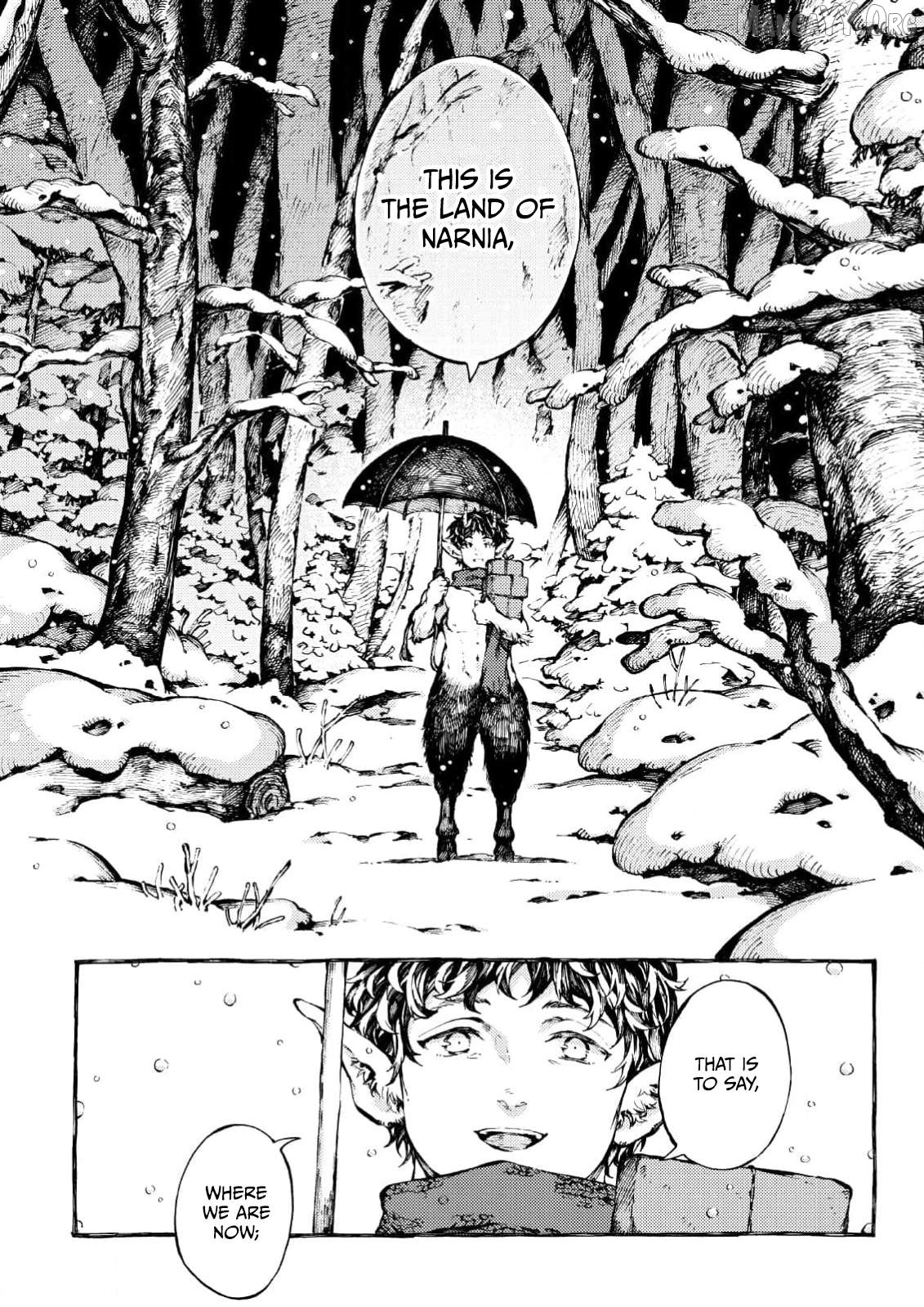 Narnia-koku Monogatari: Lion to Majo to Ishoudansu Chapter 2 - page 11