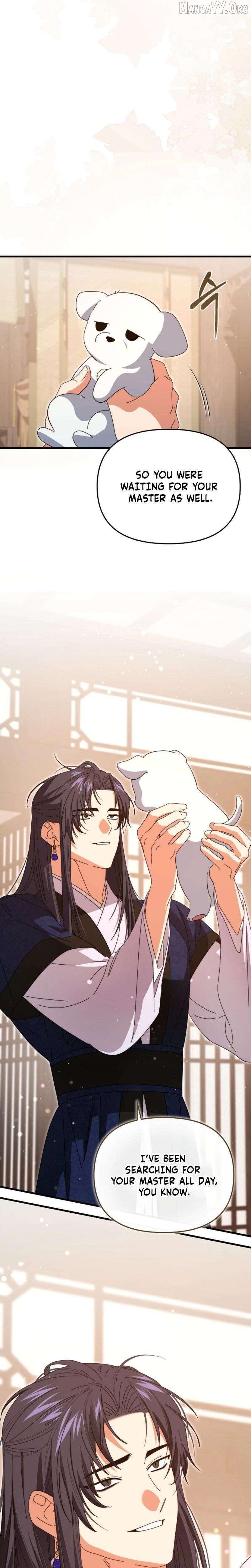 Like Spring Fluttering Across the Snowy Mountains Chapter 10 - page 3