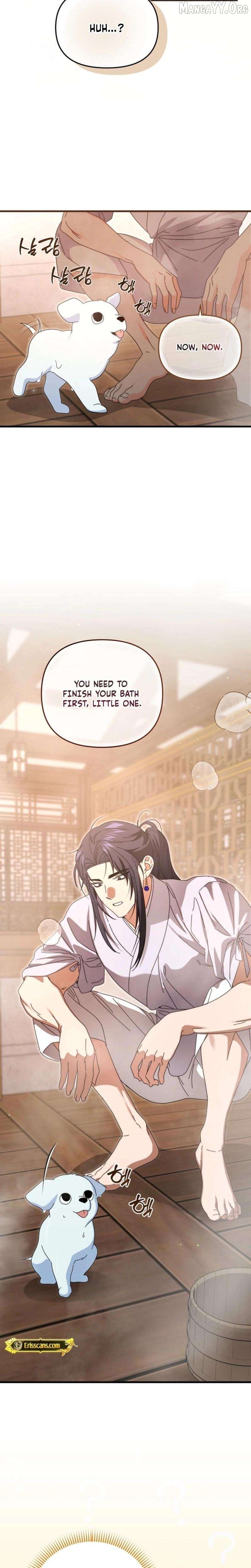 Like Spring Fluttering Across the Snowy Mountains Chapter 10 - page 9