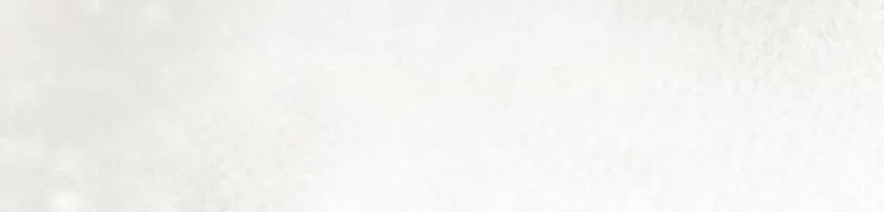 Nisemono Ouhi, Ai o Shiru Chapter 11 - page 13