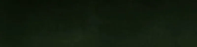 Nisemono Ouhi, Ai o Shiru Chapter 11 - page 19