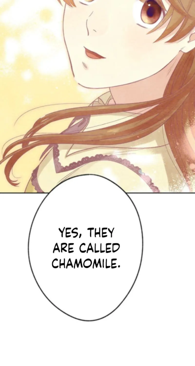 Nisemono Ouhi, Ai o Shiru Chapter 11 - page 29