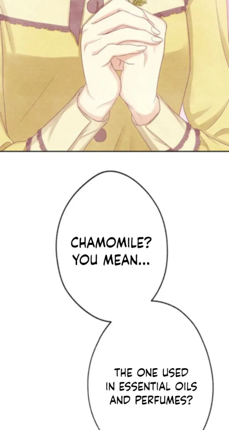 Nisemono Ouhi, Ai o Shiru Chapter 11 - page 71