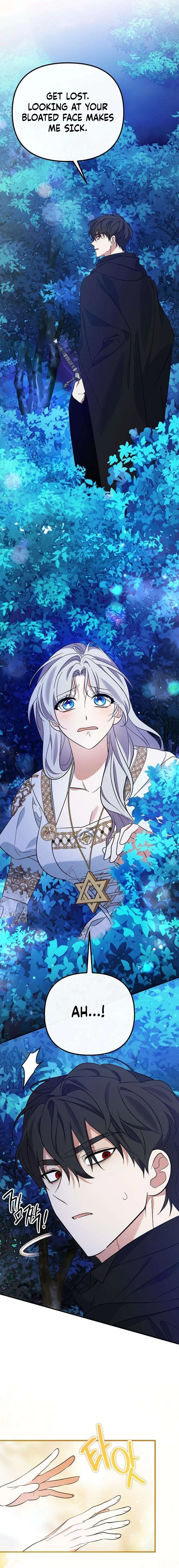 This Retired Saintess Will Raise Your Property Value Chapter 13 - page 17