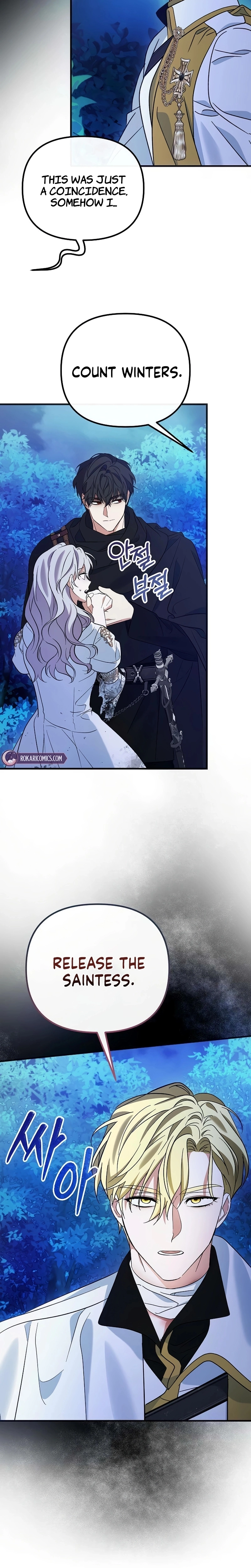 This Retired Saintess Will Raise Your Property Value Chapter 14 - page 8