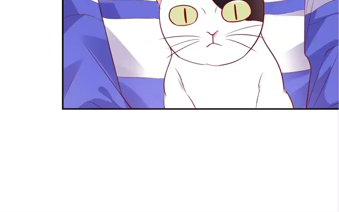 The True Lies Couple Chapter 31 - page 50