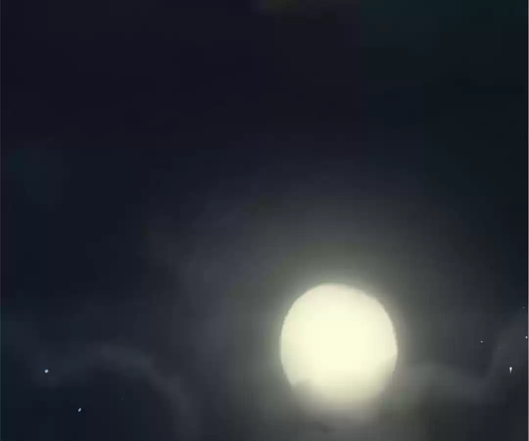 The True Lies Couple Chapter 78 - page 23