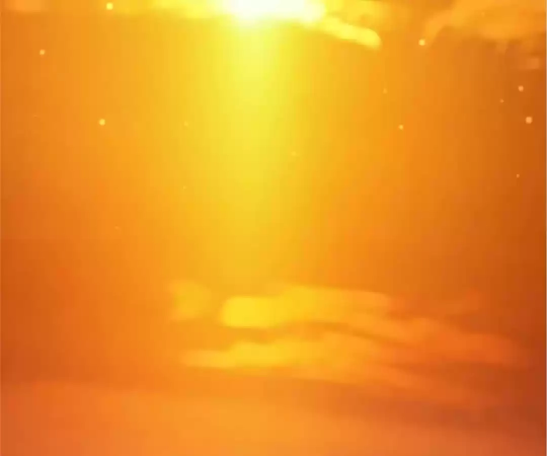 The True Lies Couple Chapter 79 - page 57