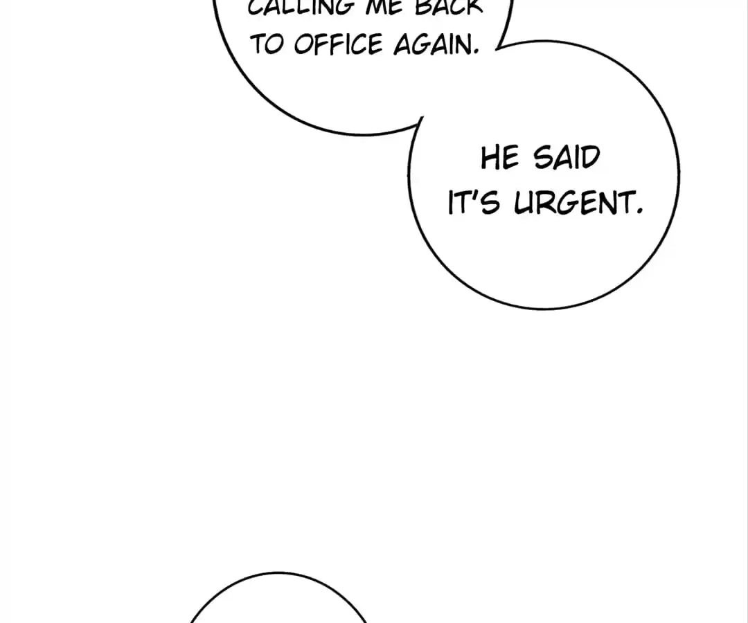 The True Lies Couple Chapter 65 - page 95