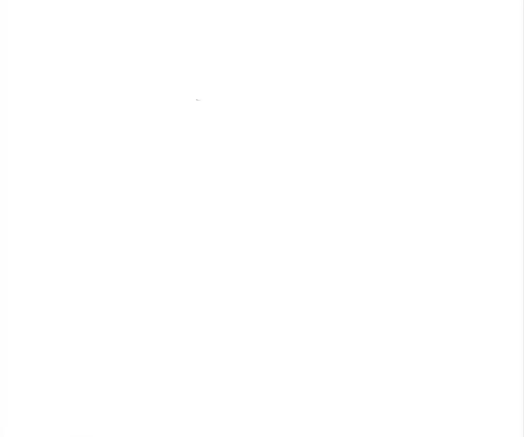 The True Lies Couple Chapter 54 - page 22