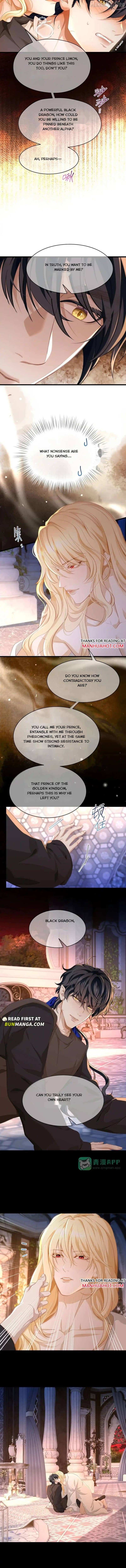 I Was Reborn as His Highness the Prince's Little Evil Dragon Chapter 97 - page 5