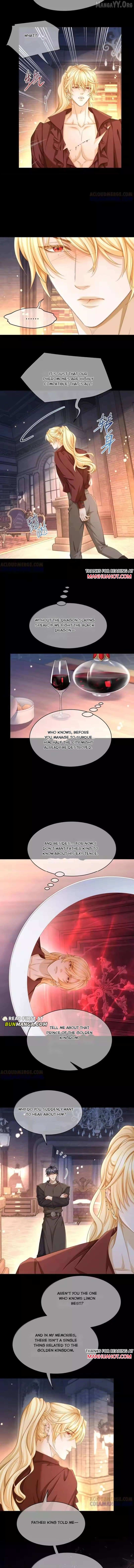 I Was Reborn as His Highness the Prince's Little Evil Dragon Chapter 100 - page 4