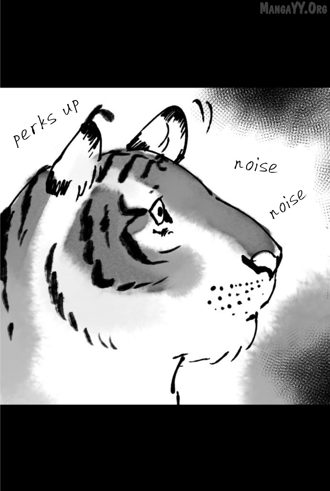 Tale Of The Tiger’S Bride Chapter 29 - page 10