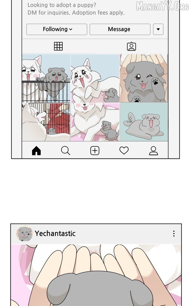 The Dog Diaries Chapter 248 - page 5