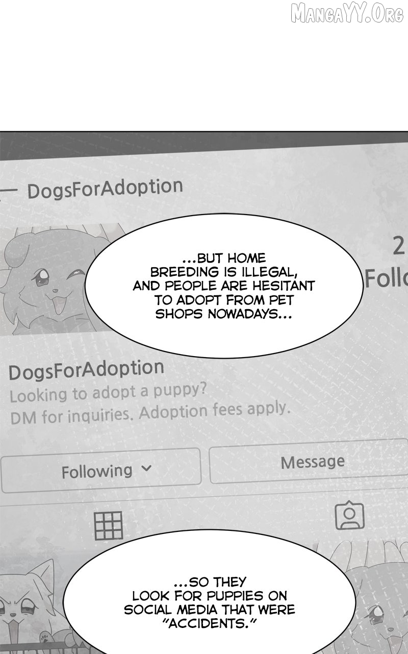 The Dog Diaries Chapter 248 - page 9