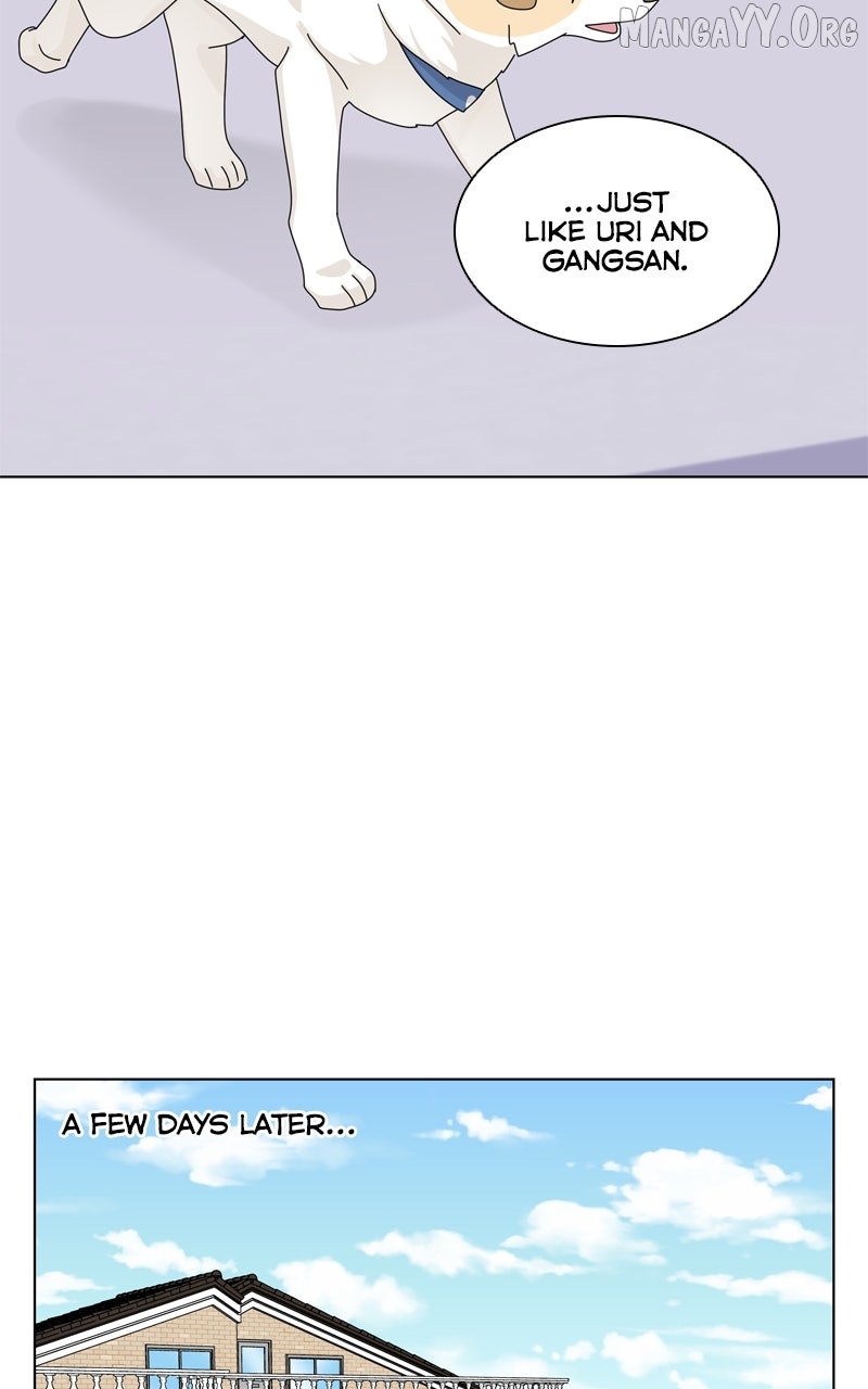 The Dog Diaries Chapter 250 - page 44