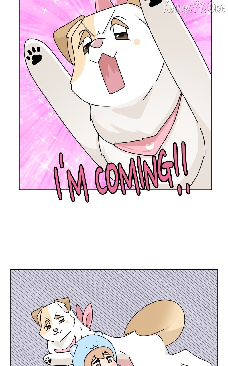 The Dog Diaries Chapter 251 - page 5
