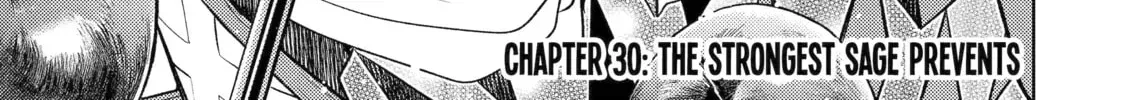Senmetsumadou no Saikyou Kenja ~Musai no Kenja, Madou wo Kiwame Saikyou e Itaru~ Chapter 30.1 - page 2