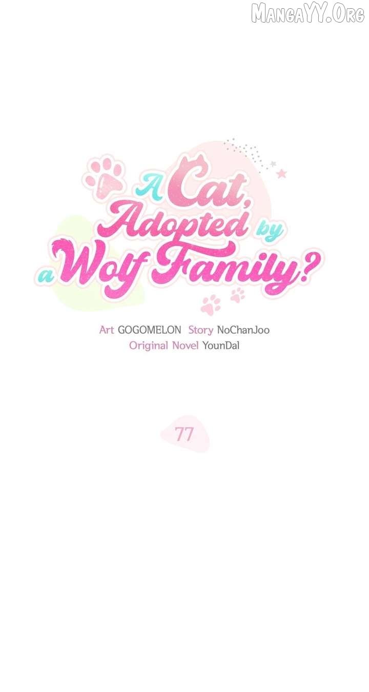 You’re a Cat, But You’ve Been Adopted by a Wolf Family? Chapter 77 - page 17