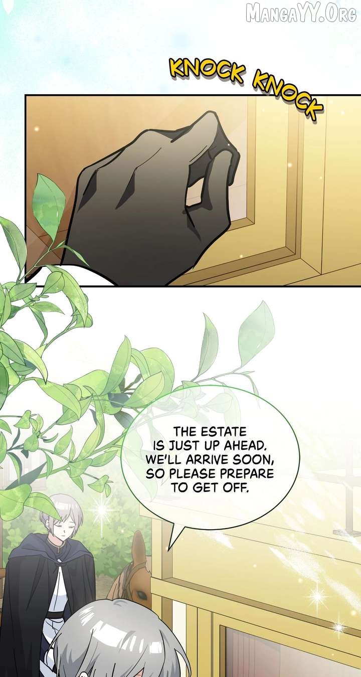 You’re a Cat, But You’ve Been Adopted by a Wolf Family? Chapter 77 - page 40