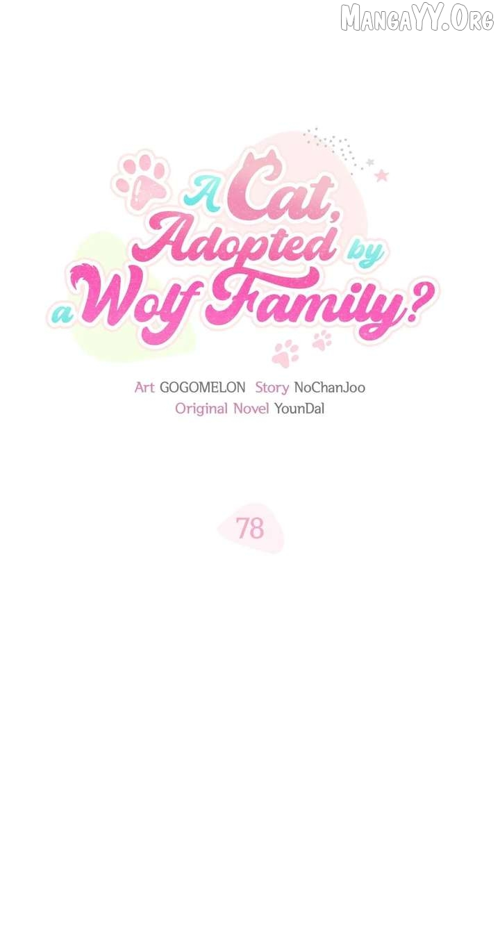 You’re a Cat, But You’ve Been Adopted by a Wolf Family? Chapter 78 - page 25
