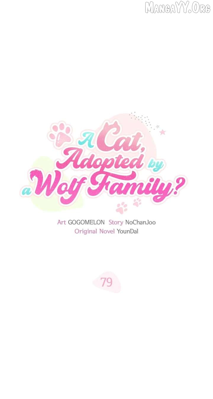 You’re a Cat, But You’ve Been Adopted by a Wolf Family? Chapter 79 - page 2