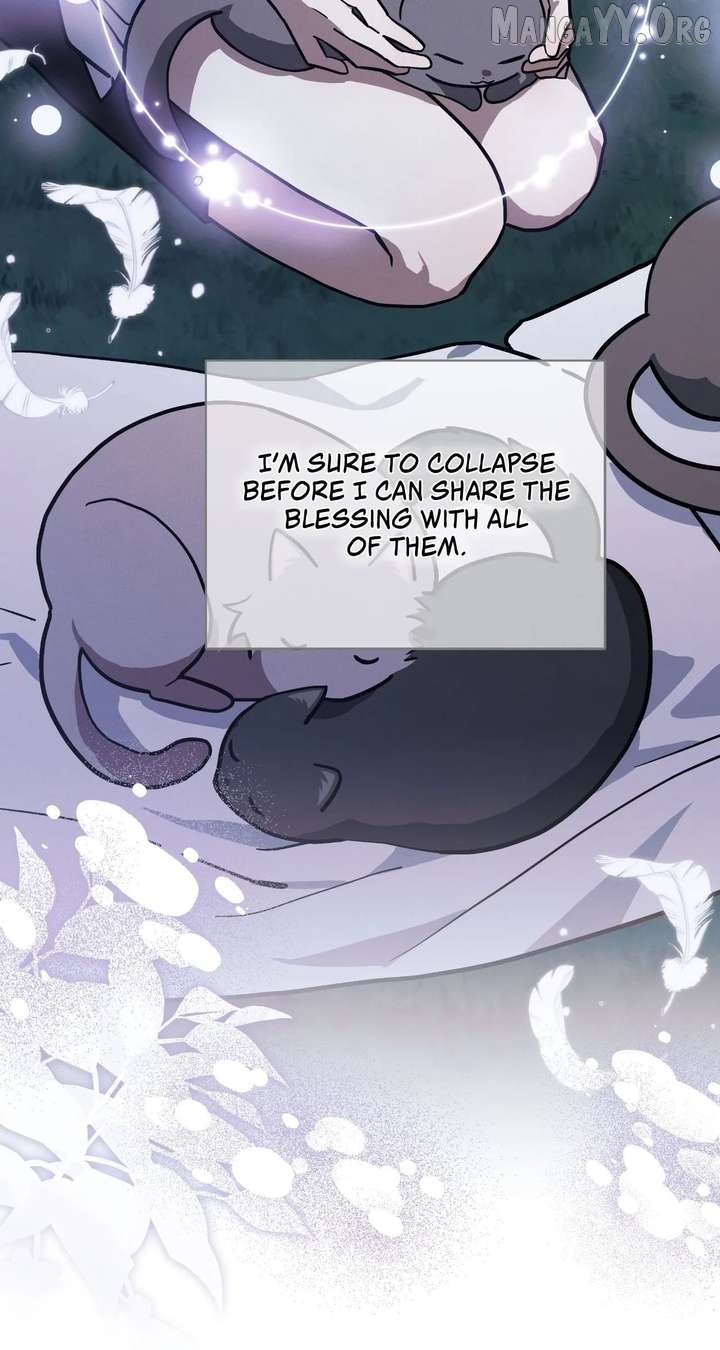 You’re a Cat, But You’ve Been Adopted by a Wolf Family? Chapter 79 - page 85