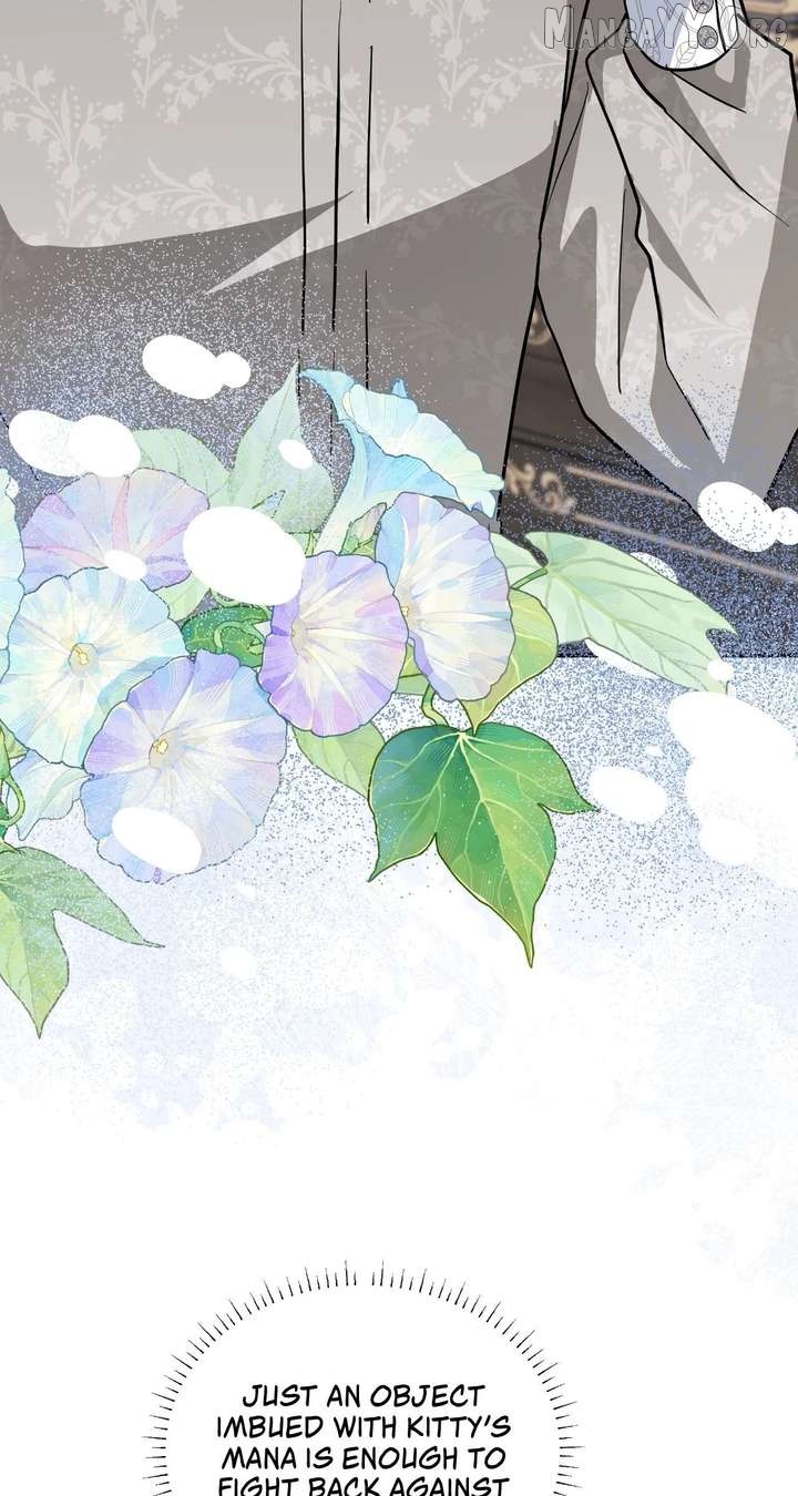 You’re a Cat, But You’ve Been Adopted by a Wolf Family? Chapter 79 - page 93