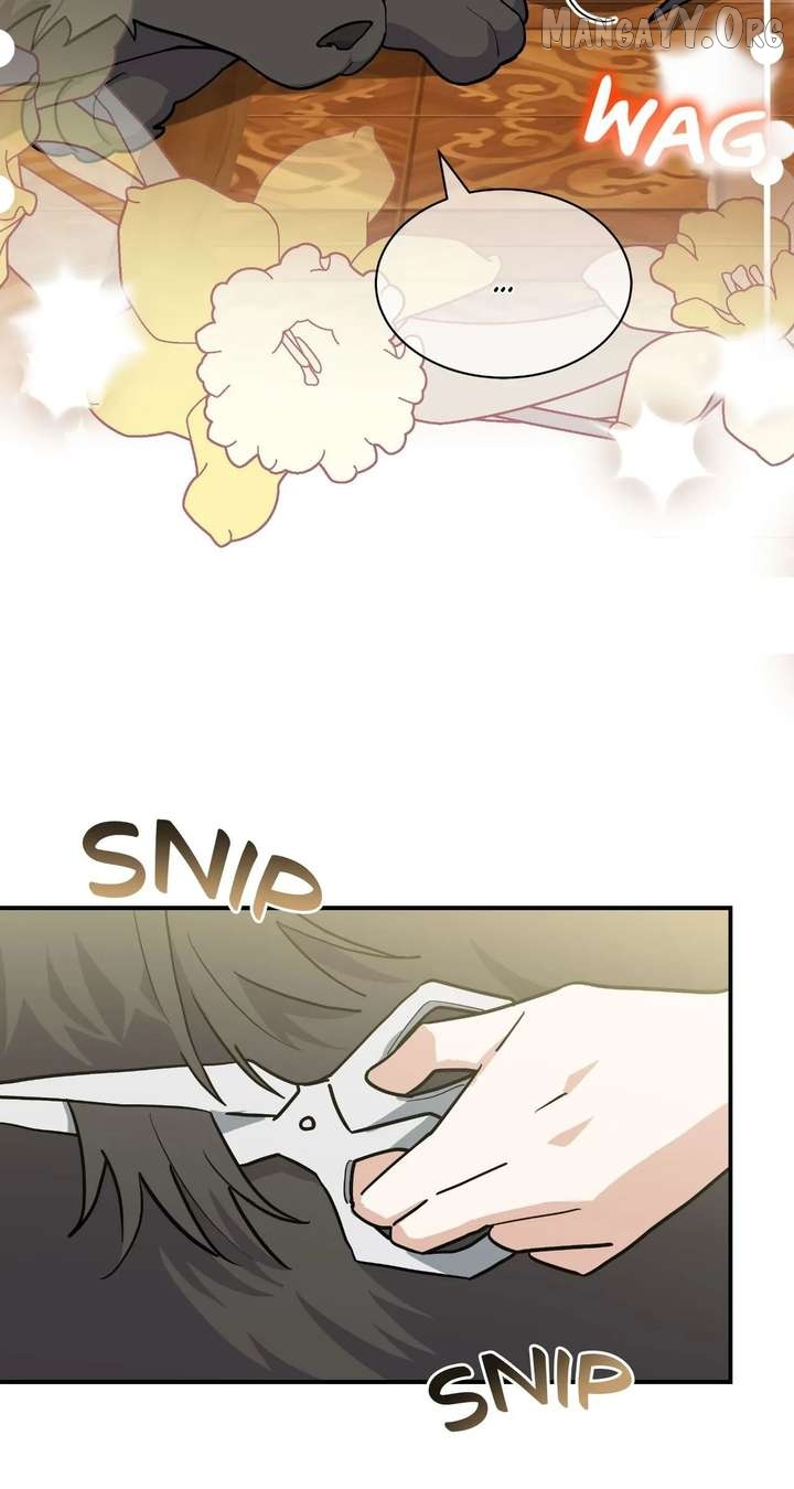 You’re a Cat, But You’ve Been Adopted by a Wolf Family? Chapter 81 - page 39