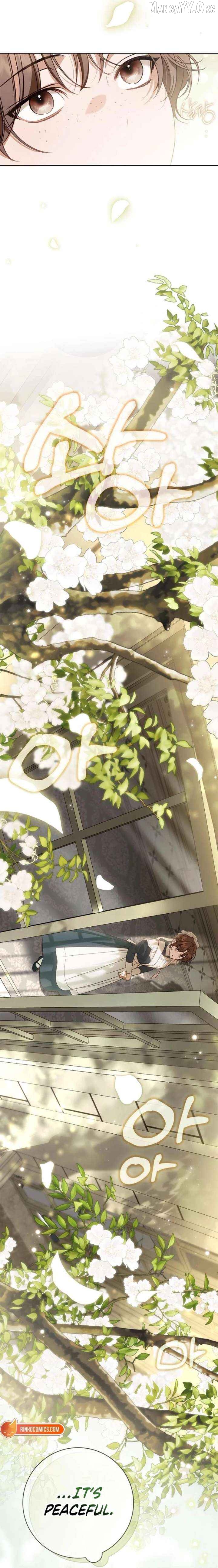 The Count’s Secret Maid Chapter 81 - page 2