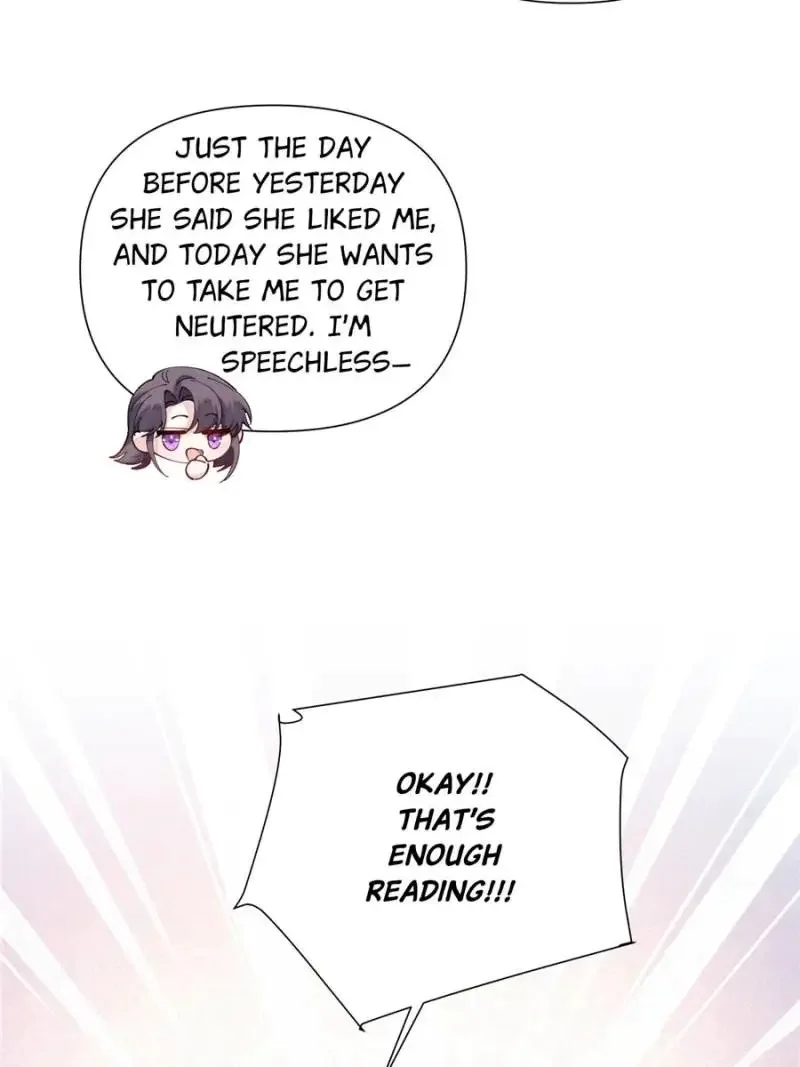 Her Marriage Was Called Off at Daytime, the Cutely Fierce Commander Asked Her For a Hug at Night Chapter 152 - page 5