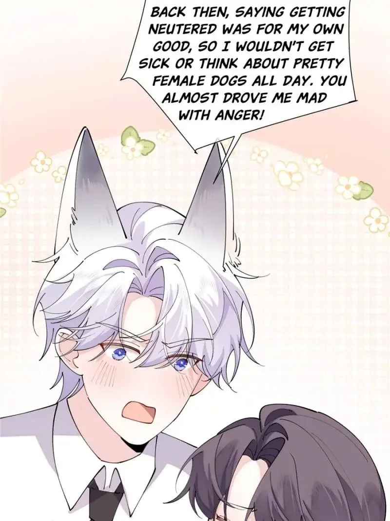 Her Marriage Was Called Off at Daytime, the Cutely Fierce Commander Asked Her For a Hug at Night Chapter 152 - page 8