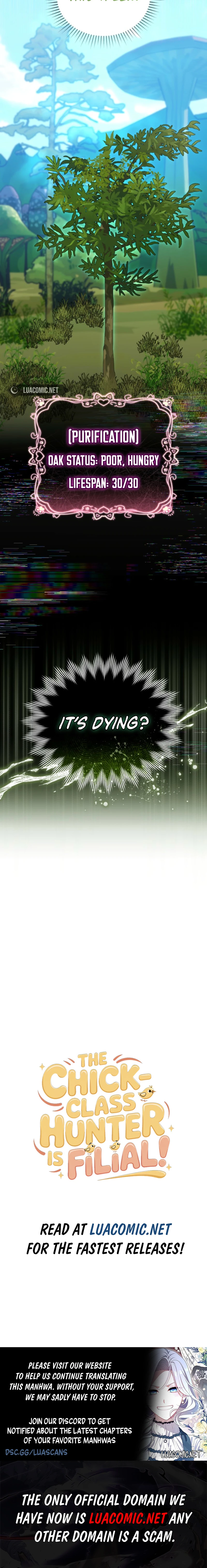 The Chick Class Hunter is on a Filial Duty! Chapter 63 - page 8