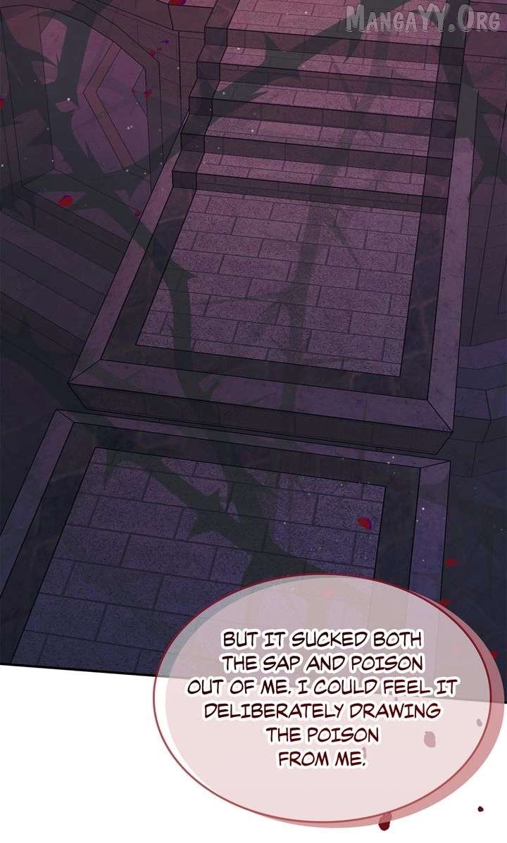 Terrarium Adventure Chapter 104 - page 35