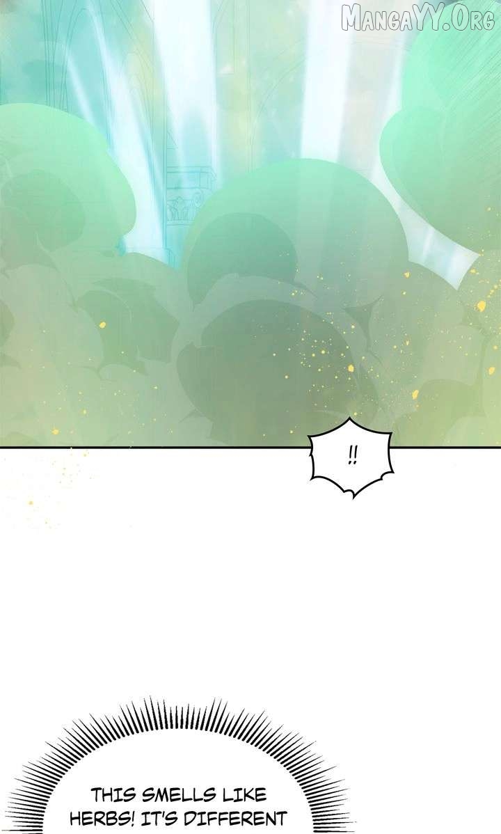 Terrarium Adventure Chapter 104 - page 64