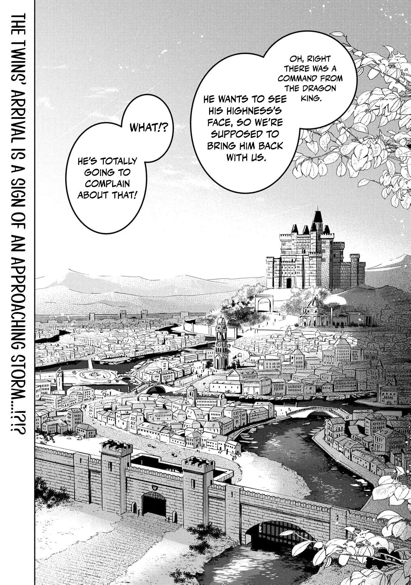 Moto Sentouyou Dorei desu ga, Tasukete Kureta Ryuu Hito wa Banda Sou desu. Chapter 26 - page 29