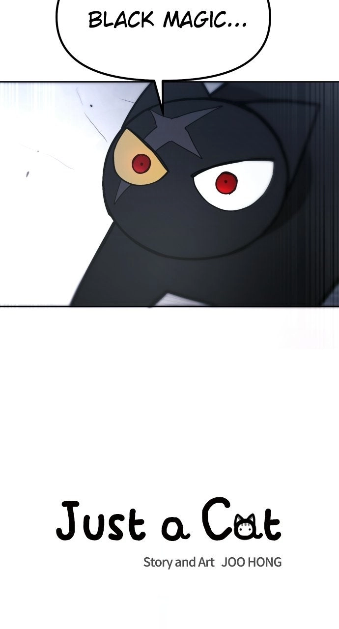Just a Cat Chapter 51 - page 11