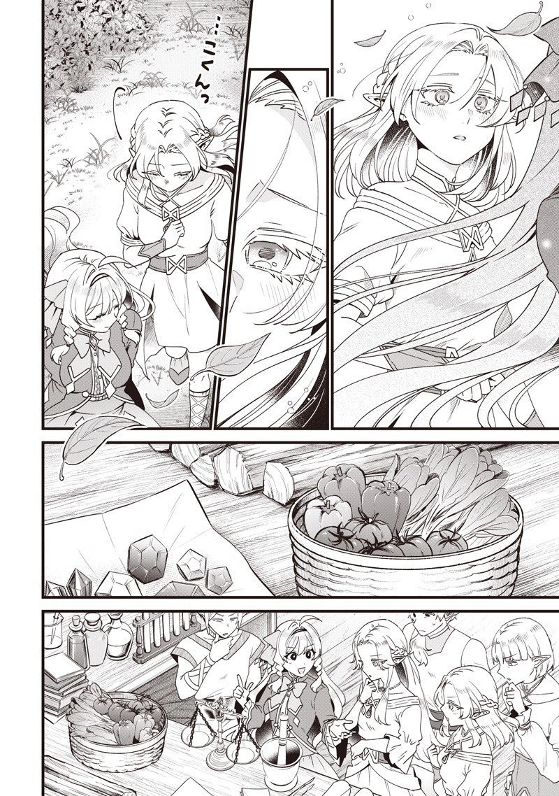 The Demoted Third Princess Begins the Frontier Reform!! Chapter 15 - page 12