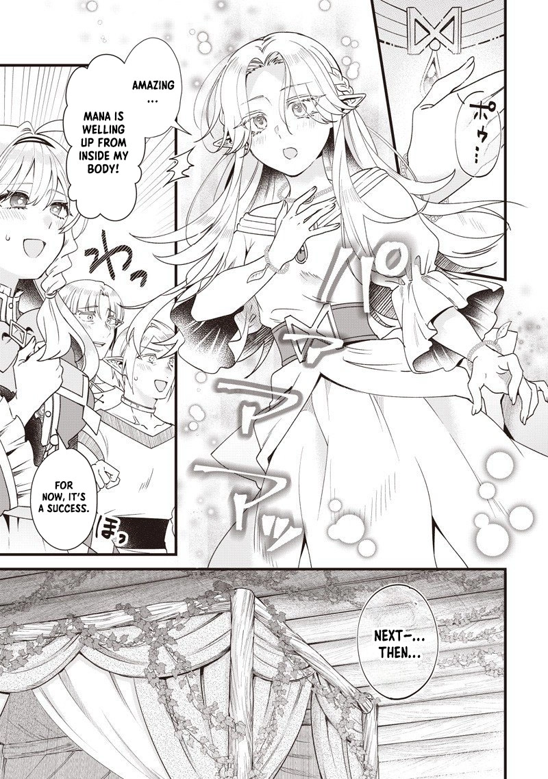 The Demoted Third Princess Begins the Frontier Reform!! Chapter 15 - page 15