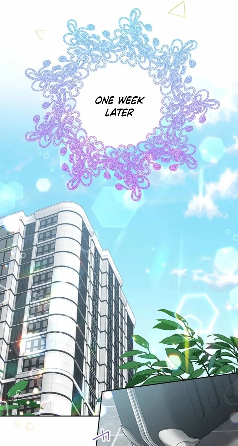 Business Marriage - If You Fall in Love, We'll Get a Divorce Chapter 88 - page 69