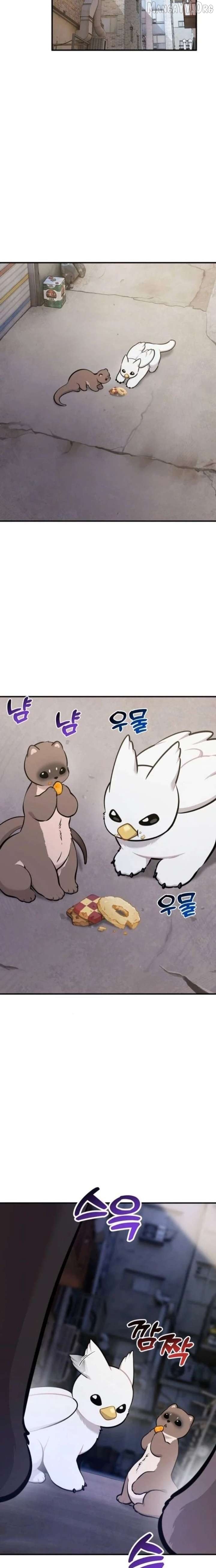 Hello, Griffin the Fluffy Bird! Chapter 36 - page 22