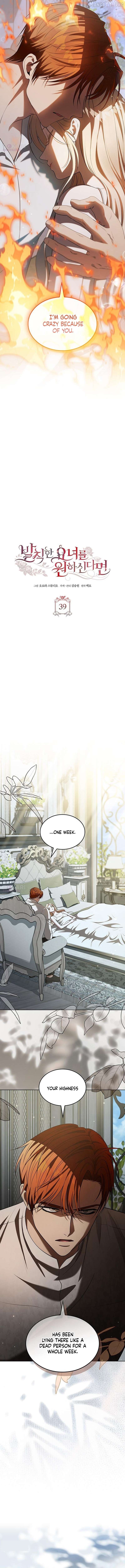 If You Want a Cheeky Sorceress Chapter 39 - page 5
