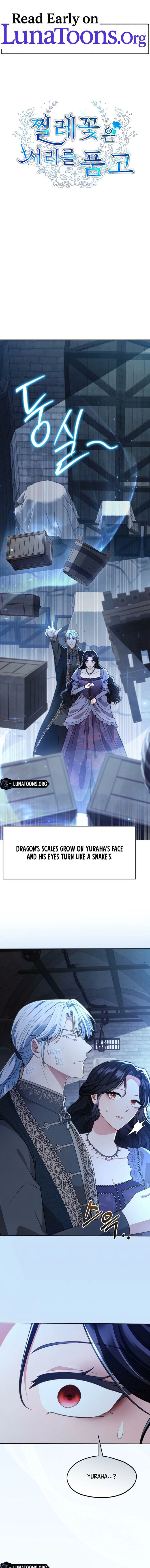 The Wild Rose Embraces the Frost Chapter 21 - page 1